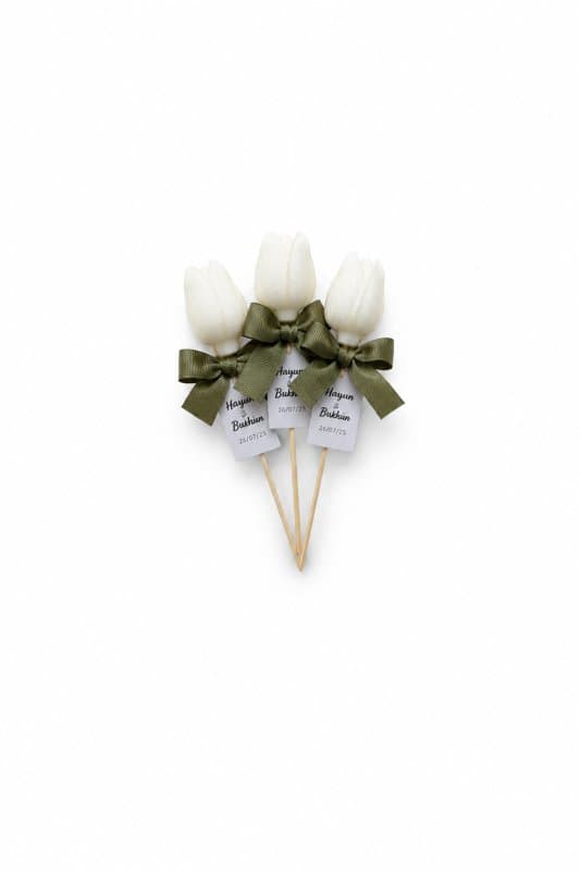 Tulips souvenirs 