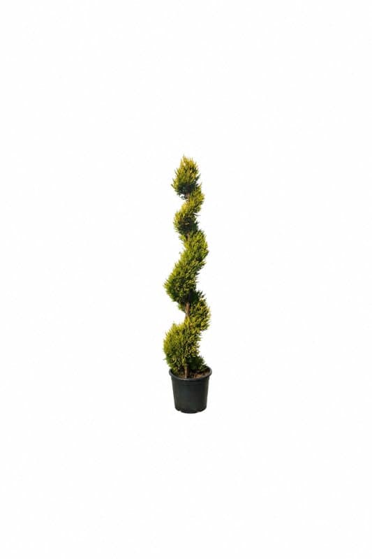 Gold gres spiral