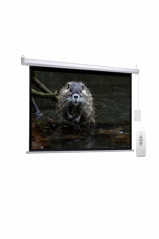 Projector Screen BW18-E200
