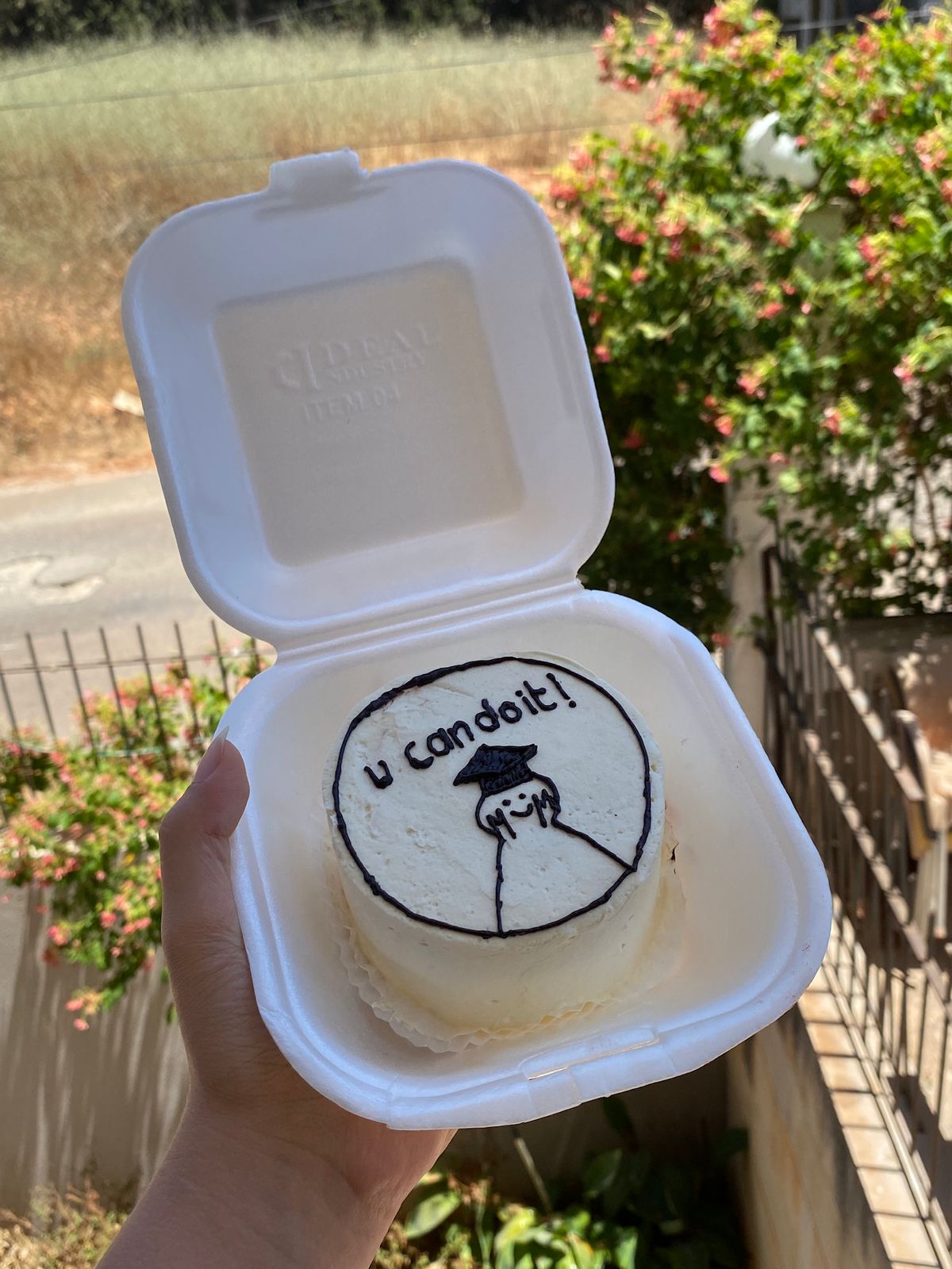 Customized lunchbox cake