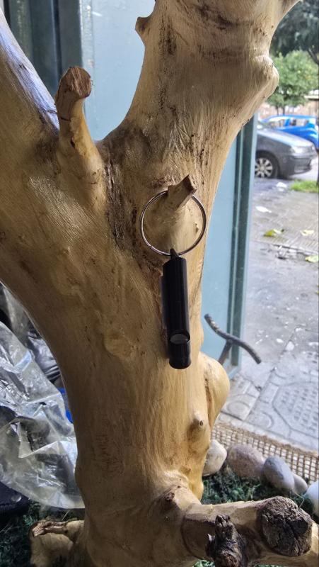 whistle   صافرة
